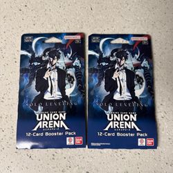 Union Arena Solo Leveling