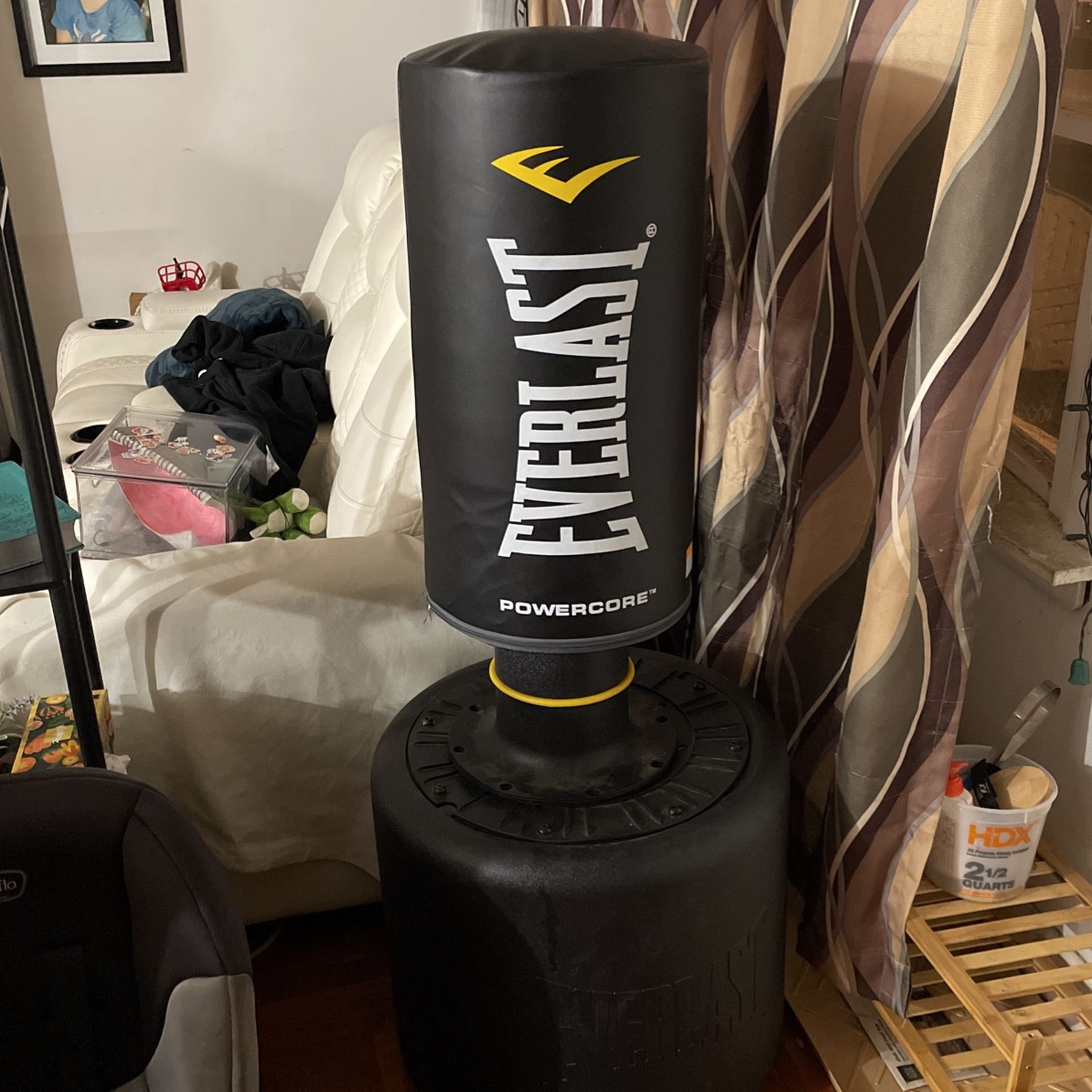 Everlast Punching Bag