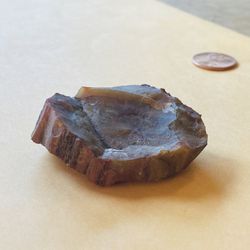 ~ 200+ Million Year Old Petrified Wood from Arizona 