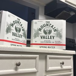 24 Mountain Valley Spring Water 1 L Glass Bottles – Clean, Green Glass – Great for DIY, Storage, Decor