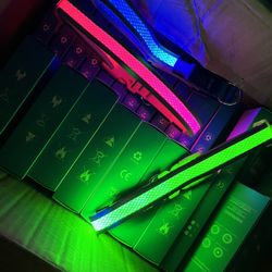 LED Dog Collars 