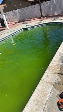 Pool Green