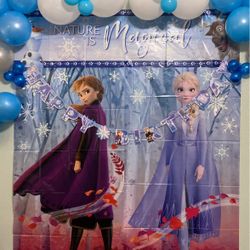 Frozen Party Supplies