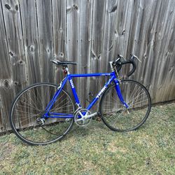 Trek 1000 Road Bike 