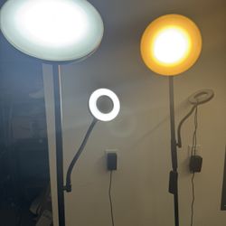 3 Standup Lamps For $30 Firm Price