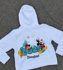 Disneyland Resort 2025 Zip Up Hoodie