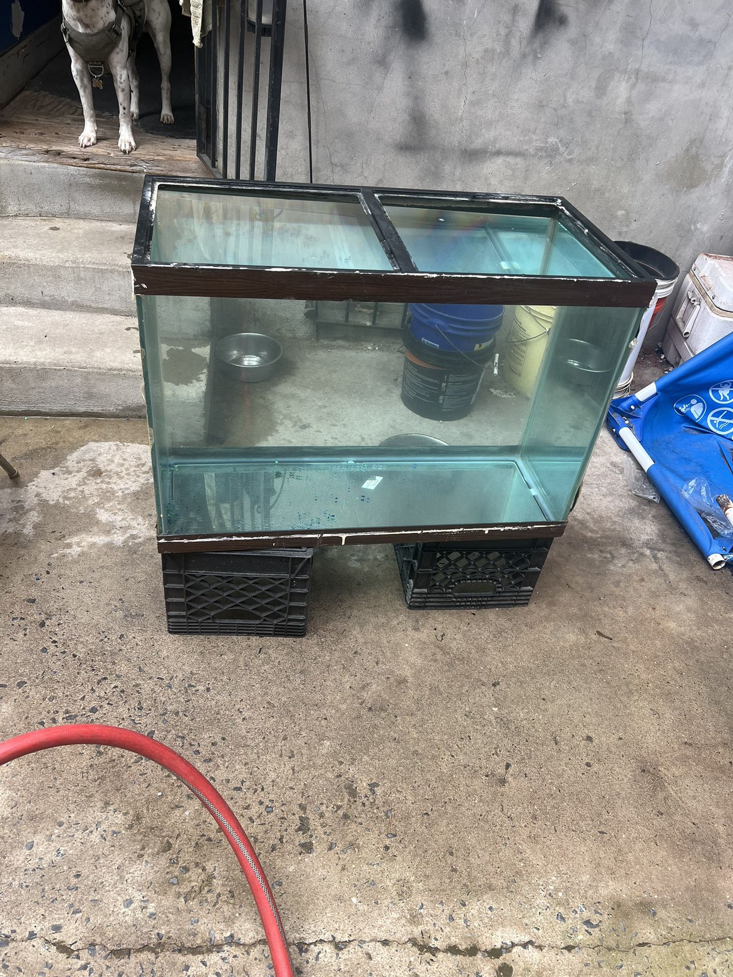 65 Gallon Fish Turtle Reptile Tank Only $150