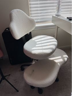 Ergonomic Chair