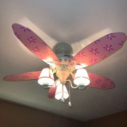 Fan