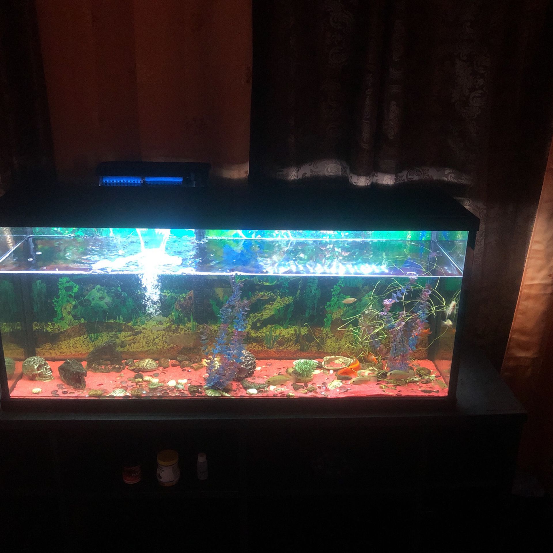 Fish Tank New Comes With Everything In Picture Willing To Drop Price 55 Gallon