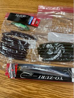 Fishing Lures (2) And Plastic Worms(16)