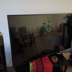 Specter 65in Tv