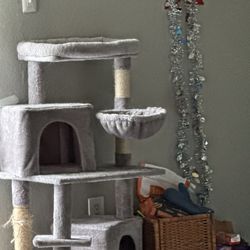 Cat And Two  Towers Harness