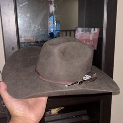 Cow boy hats