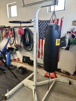 Everlast Punching Bag Combo