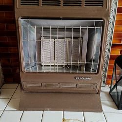 Vanguard 3 Brick Heater 
