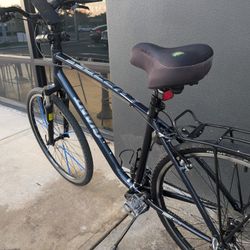 MEN GIANT CYPRESS DX