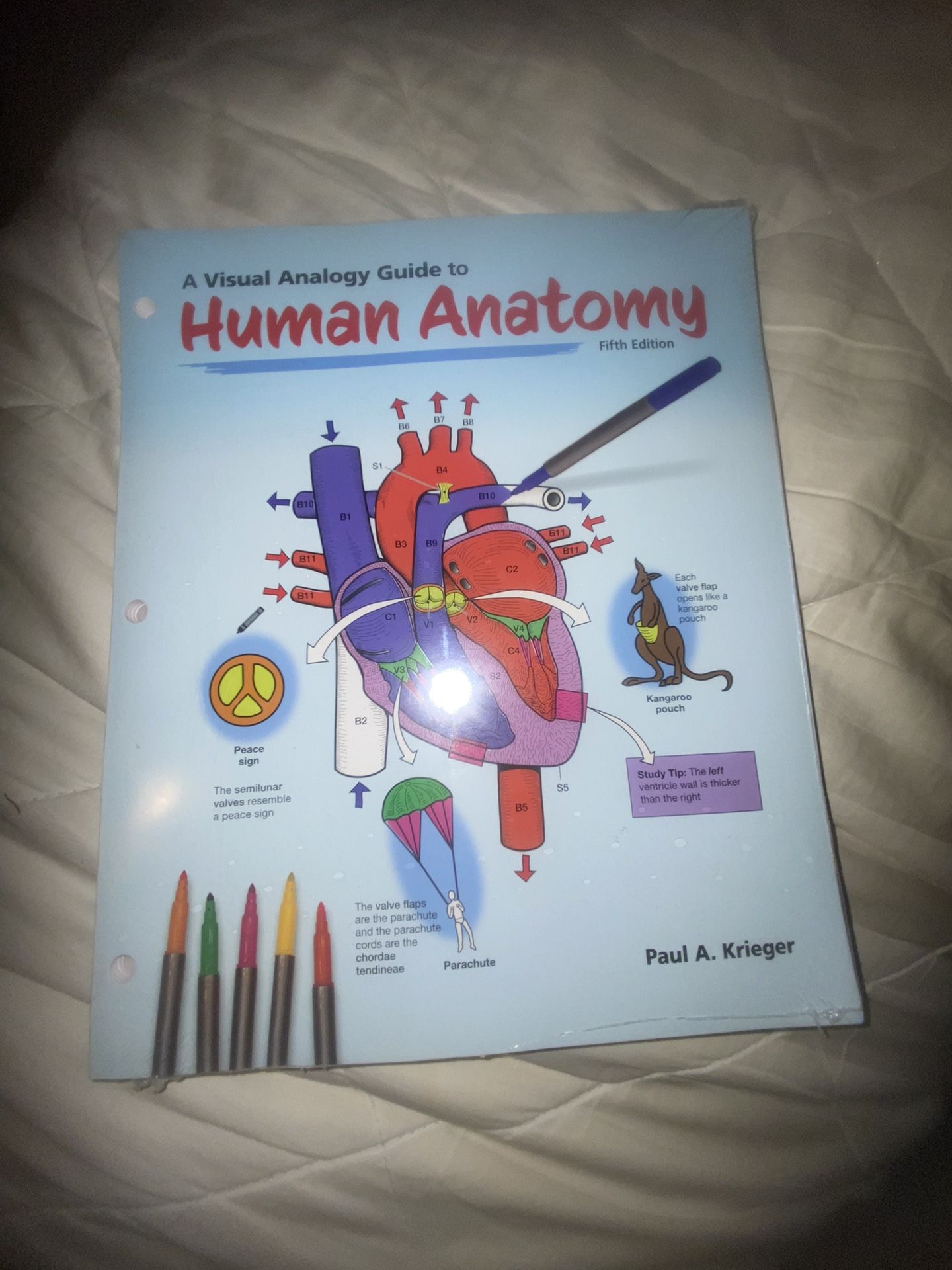 Human Anatomy Visual Guide Book