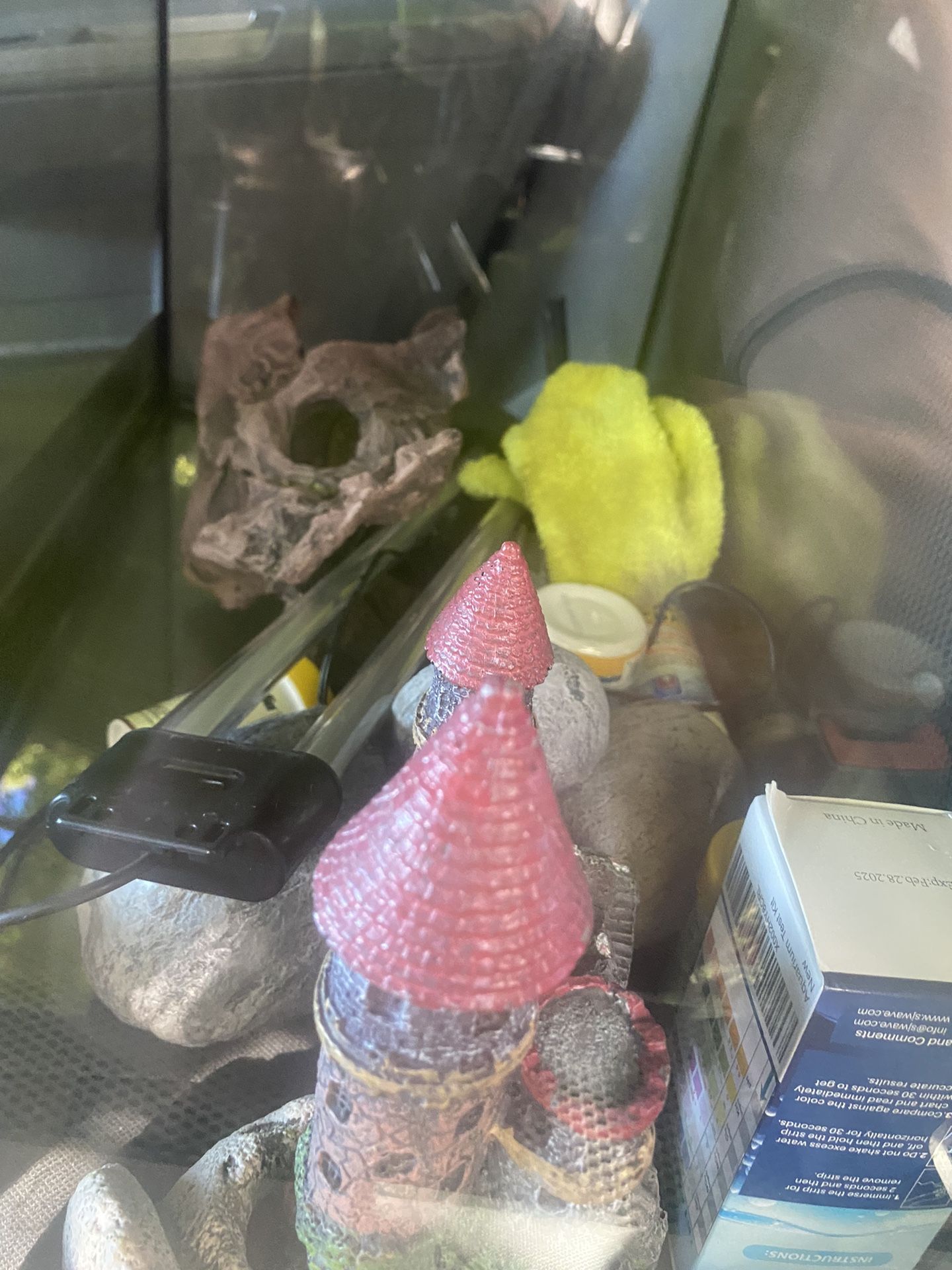Fish Tank 
