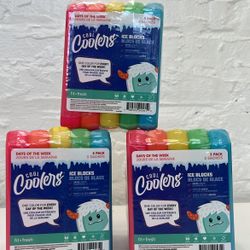Cool Cooler Ice Blocks