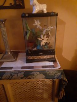 Terrrium