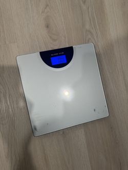 Stainless Steel Weight Scale
