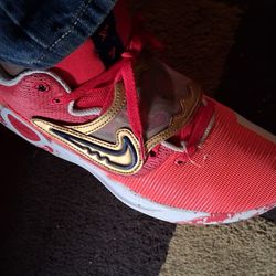 Kd