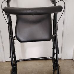 ADULT WALKER