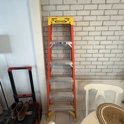6ft Ladder