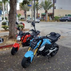 2019 Honda Grom