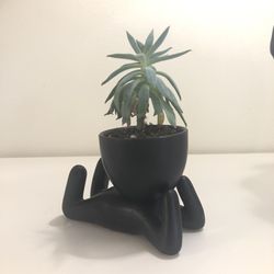 Pot Head Ceramic Succulent Planter