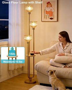 Glass Floor Lamp with Shelf