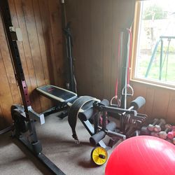 Olympic Weights And Gym Set