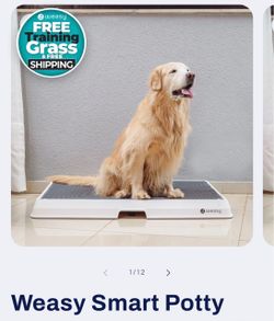Weasy Smart Potty for Dogs, Large, white and gray