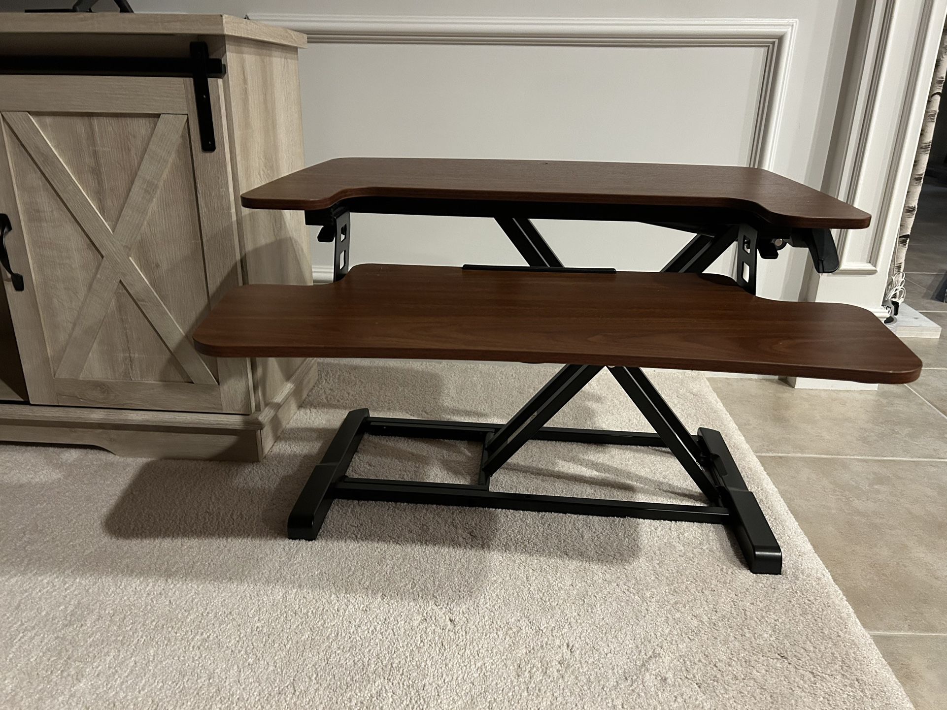 FlexiSpot Desk Riser