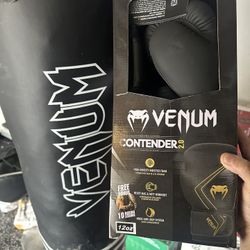 Venum Punching Bag And Gloves