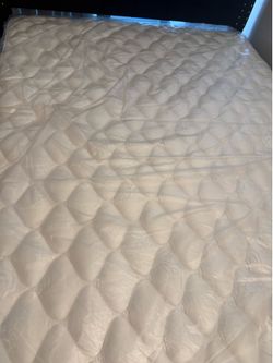 MOVING SALE!!- EVERYTHING MUST GO! queen size mattress and bed