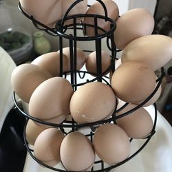 Free range farm fresh eggs Dozen