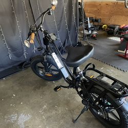 Ridstar 2 seater e bike