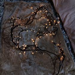 Guirnalda De Luces Para Pared