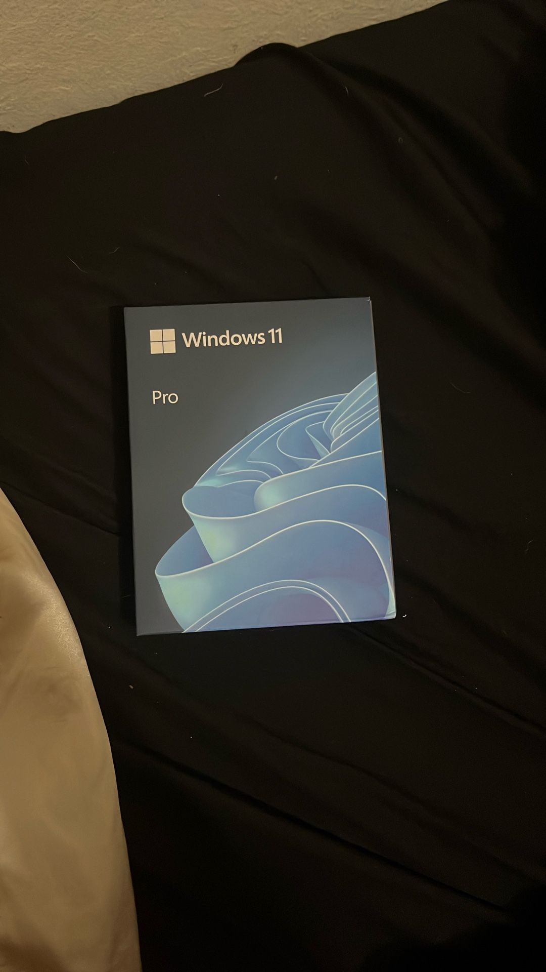 Windows 11 Pro