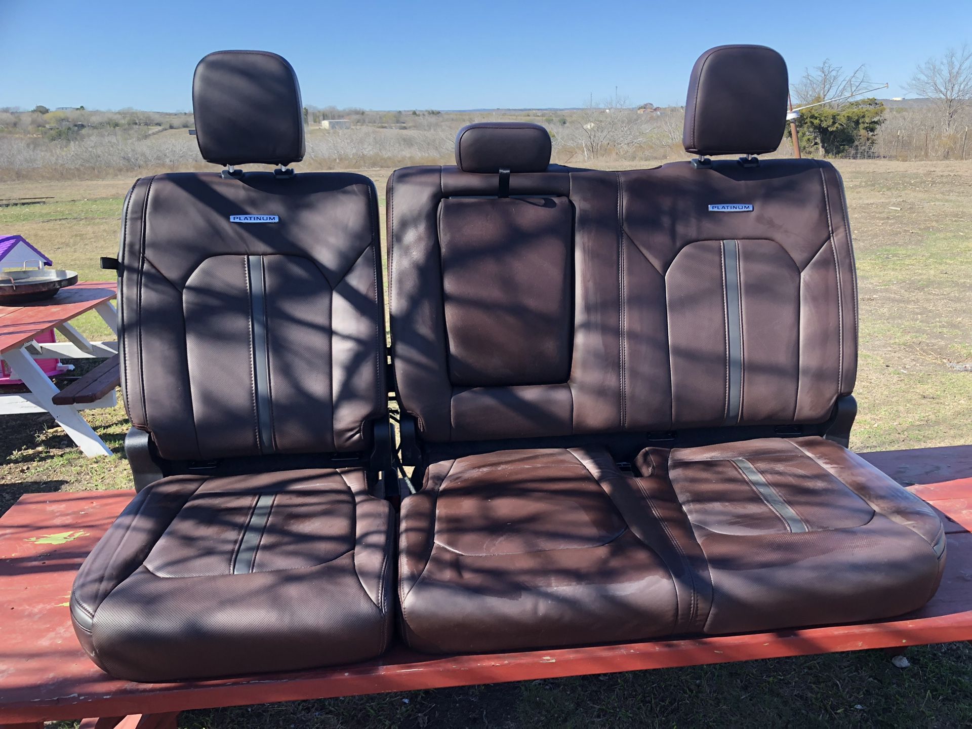 Ford platinum back seats
