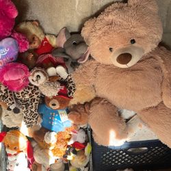 Stuffed Animals