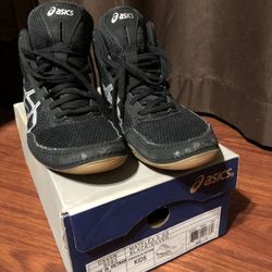 Wrestling Shoes