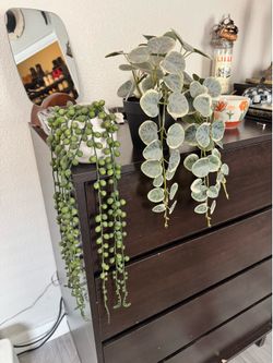 Fake plants