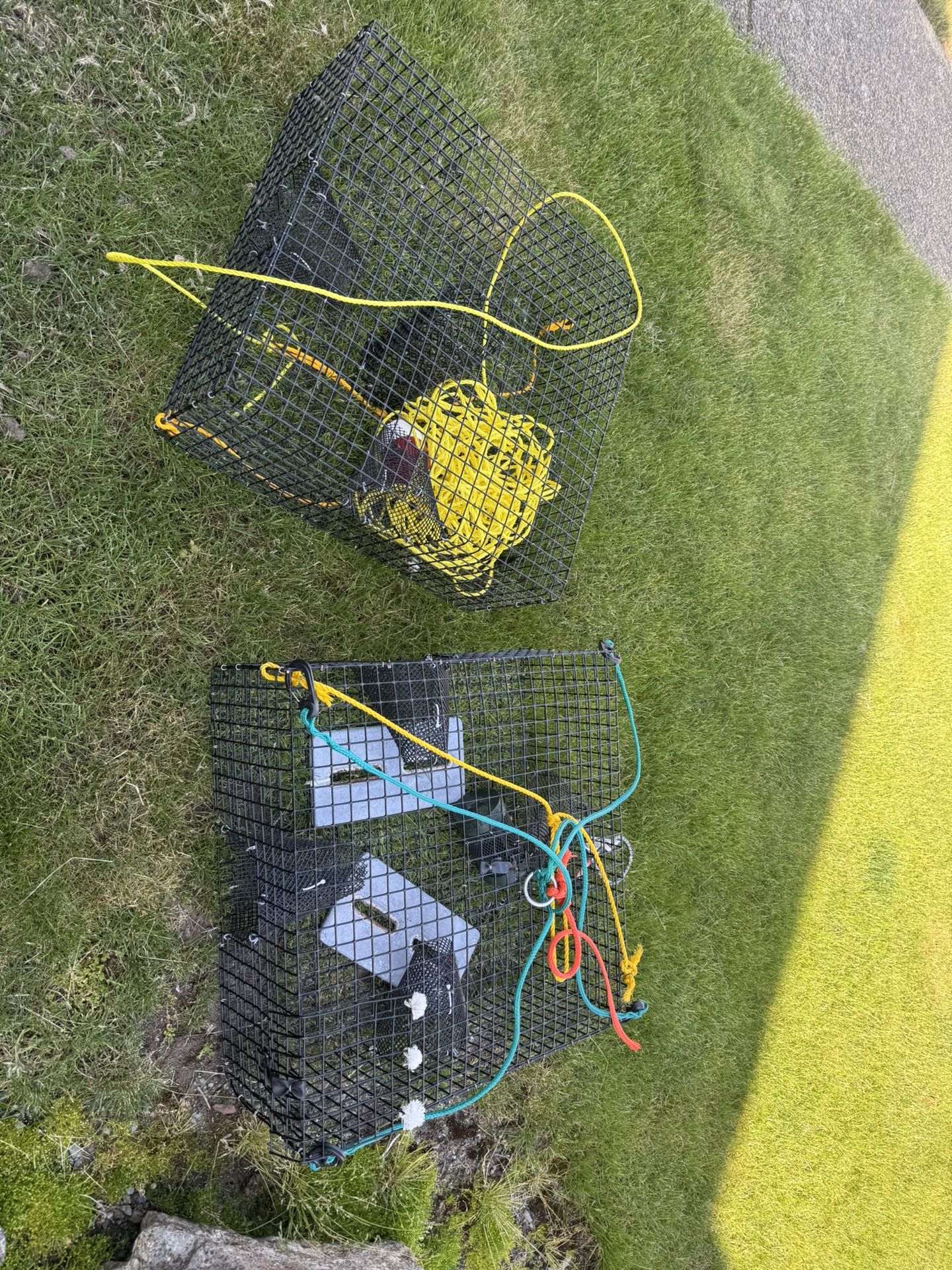 Shrimp pots