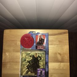 2000 X-Men The Movie Storm