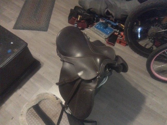 Saddle Horse. Old English Size 15 And Saddle Pad