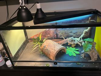 Reptile 40 gallon tank.
