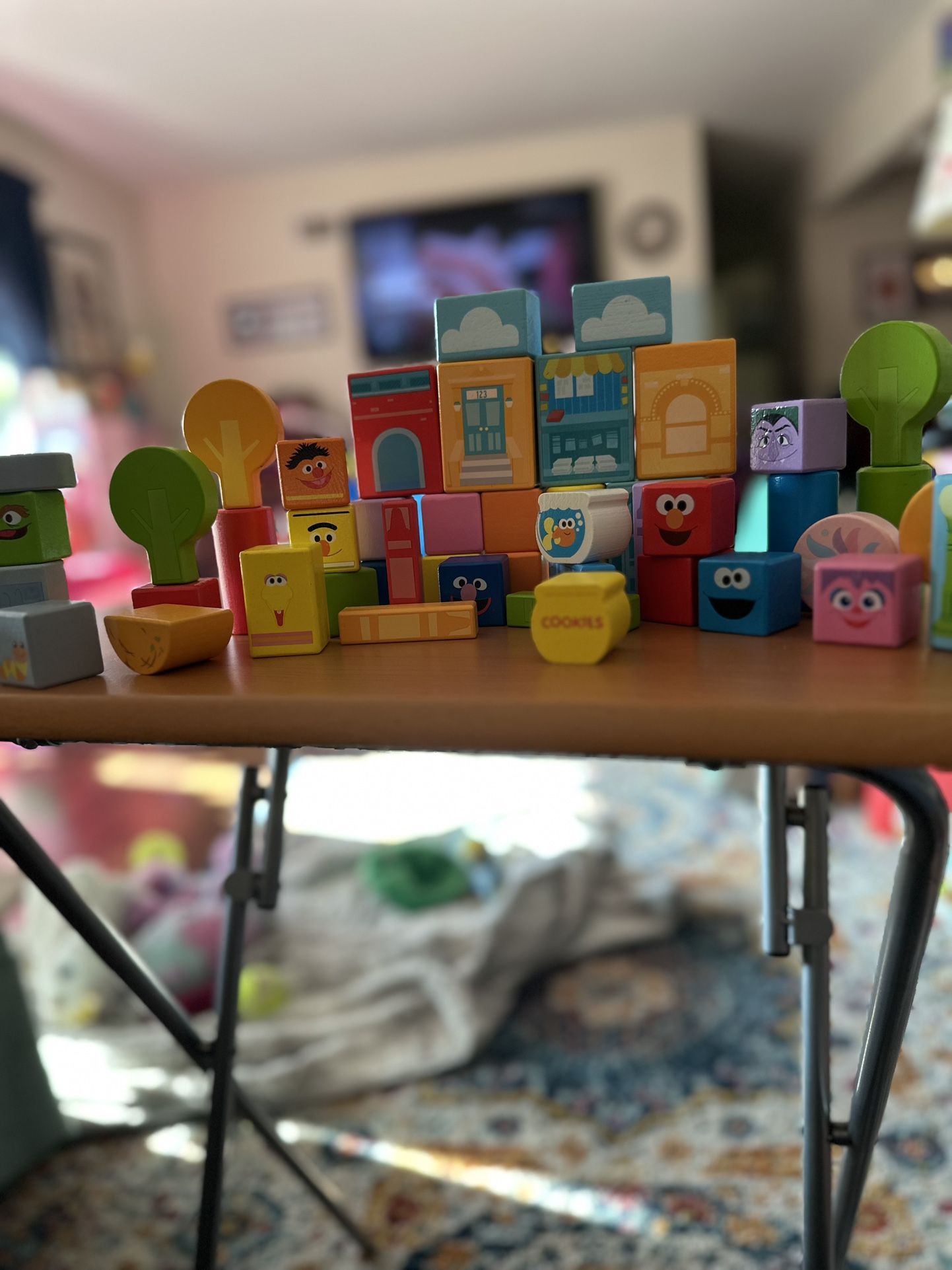 Sesame Street Wooden Blocks